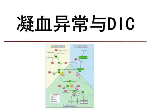 预测DIC的“小精灵”——FDP、D-Dimer