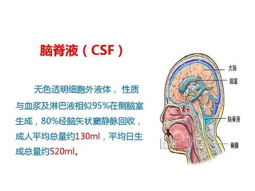 脑脊液常规及生化检查
