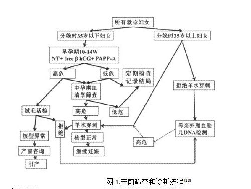 做好产前筛查是家庭和社会共同的责任