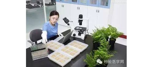 检验人的时间都去那儿了？