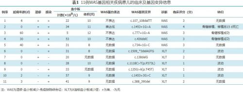 基因筛查在早期识别新生儿WAS基因相关疾病中的临床应用