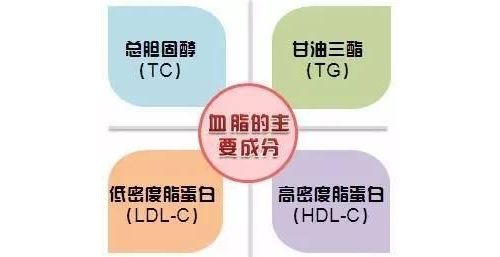 关于血脂的7个认识误区