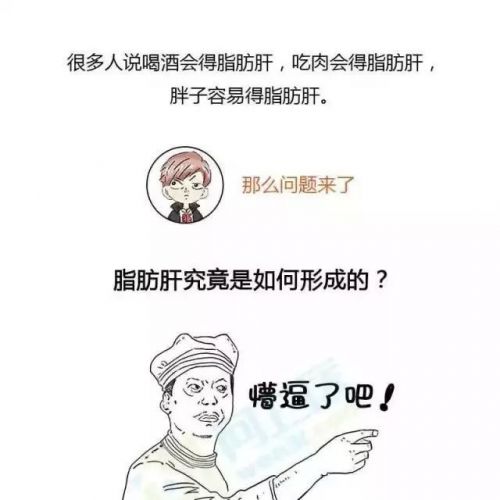 脂肪肝究竟是如何形成的?