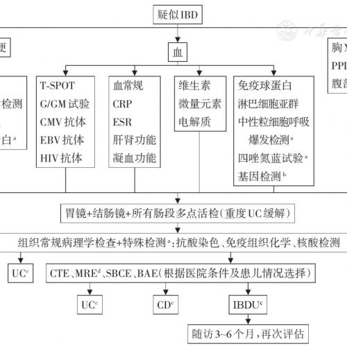 儿童炎症性肠病诊断和治疗专家共识