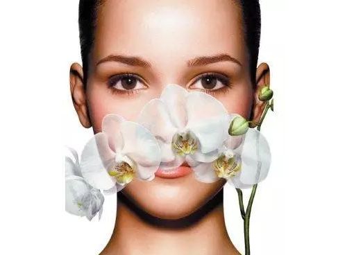 解读女性激素中的“姐妹花”