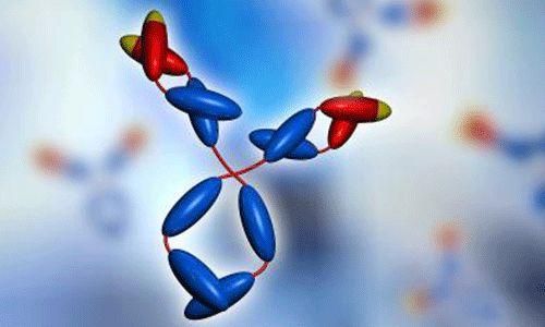 共识解读 | 抗磷脂抗体检测的临床应用专家共识解读