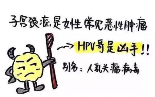 孕前让我做TCT和HPV检查是“多余”的吗？