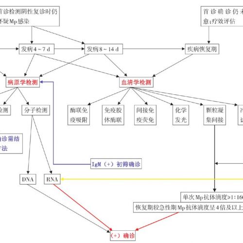 【指南与共识】儿童肺炎支原体呼吸道感染实验室诊断中国专家共识 ...
