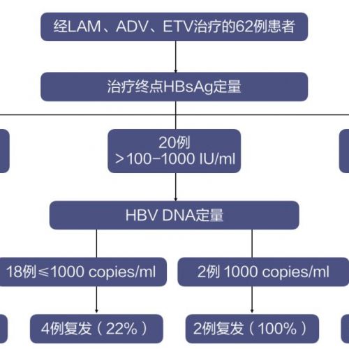 乙肝五项血清标志物定量检测的临床意义
