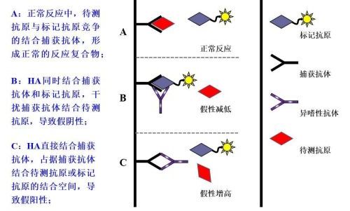 免疫学检测中的干扰因素及对应措施