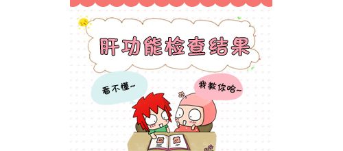 肝功能全面解读
