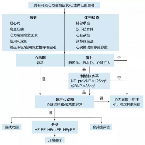 中国心力衰竭诊断和治疗指南2018（节选）