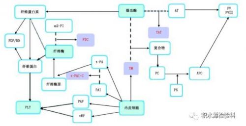 血栓分子标志物检测及临床应用