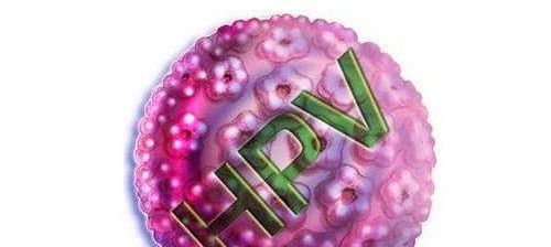 人乳头瘤病毒（HPV）超详细介绍