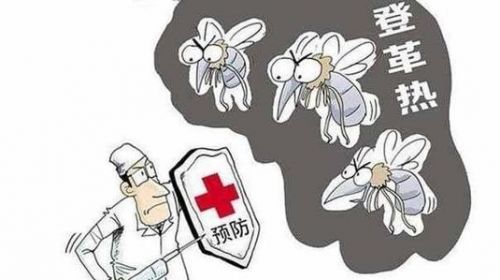 登革热高发，预防是关键