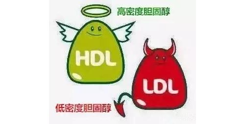 【专家论坛】高密度和低密度脂蛋白胆固醇测定参考系统现状及有关问题 ...