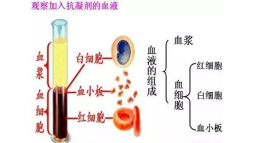 IVD检测项目使用全血、血清、血浆标本分类大汇总！