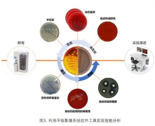 可视化微生物学， 微生物实验室自动化发展的新趋势