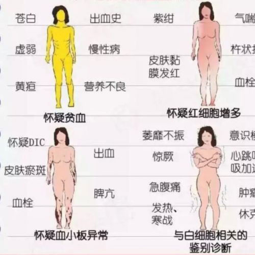 血常规能检查出哪些疾病，为何如此重要？