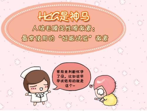 持续性低水平hCG增高的几种常见情况