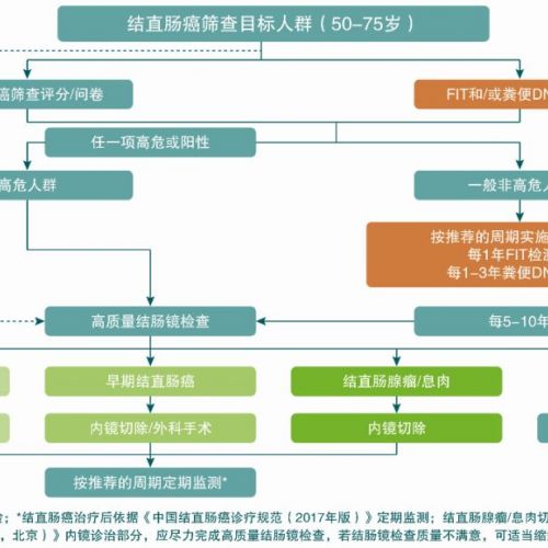 《中国早期结直肠癌筛查流程专家共识意见（2019，上海）》