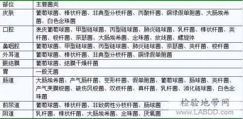 解读：细菌学药敏检验报告！！！