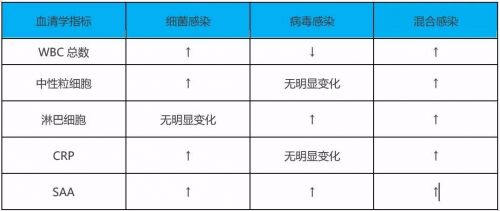 何为SAA？