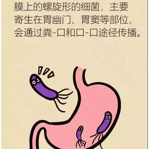 重磅发布！中国幽门螺杆菌根除与胃癌防控的专家共识意见（2019年，上海） ...