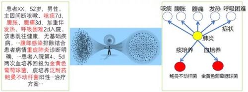 知识图谱在mNGS辅助诊断中的应用