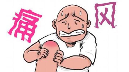 尿酸的来龙去脉