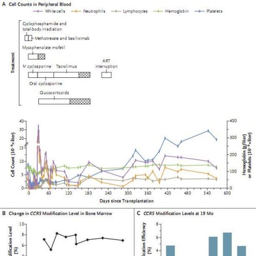全球首例！北大科学家找到治疗艾滋病和白血病新方法！