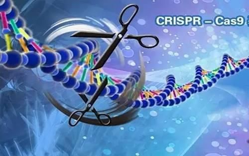 CRISPR/Cas9在医学检验中的研究进展及应用