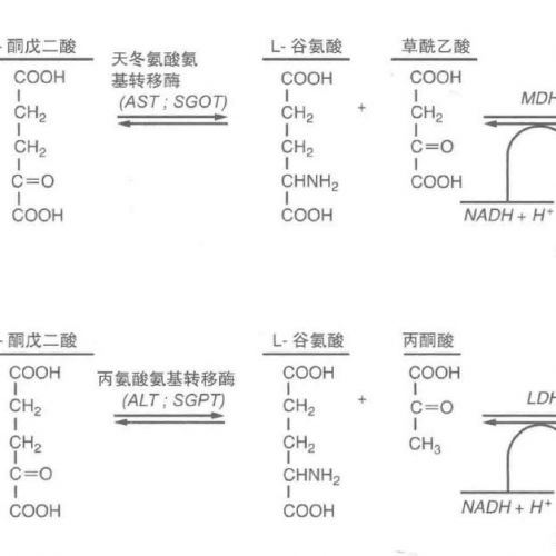“肝功能检测”这个词误导了太多人，是时候说明白了！