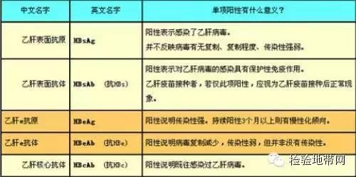 秒懂！乙肝两对半，32种组合模式及解读~