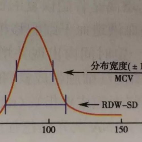 这个血常规指标非常重要，却常常被忽视！