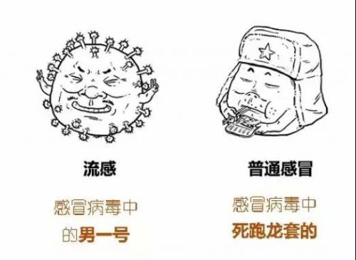从流感官方公布数据看检验如何先行破敌！