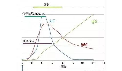 这些年，徘徊在“冷宫”边缘的肝炎诊断标志物
