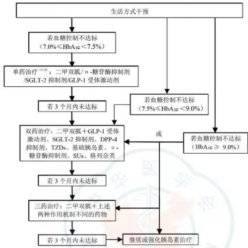 指南共识 | 2型糖尿病及相关代谢异常的诊治原则