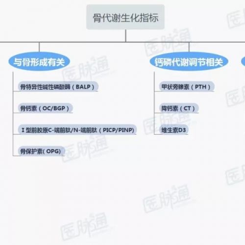 收藏：骨代谢8大生化指标一览图