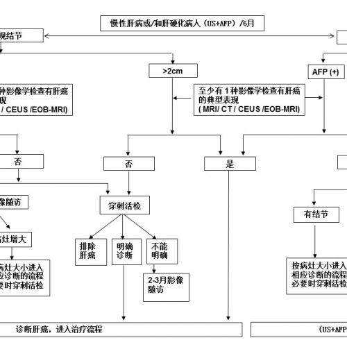 最新发布丨原发性肝癌诊疗规范（2019年版）