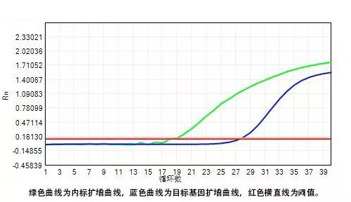 器审中心 | 一文读懂新型冠状病毒的核酸检测！