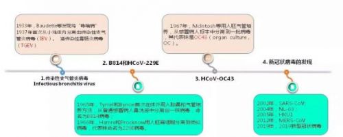 2019新型冠状病毒实验室检测与防护研究