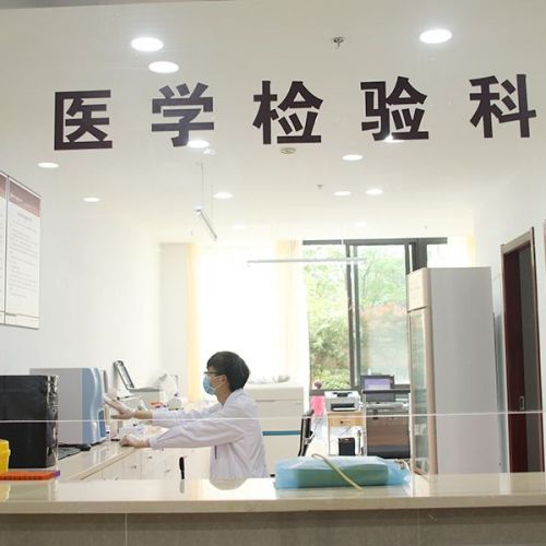 大小三阳、大小二阳、恢三阳、恢二阳，史上巨全乙肝两对半检验报告解读 ...