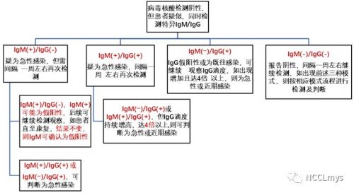 国家卫健委临检中心专家解读：新冠病毒抗体检测为什么会有假阳性？ ...
