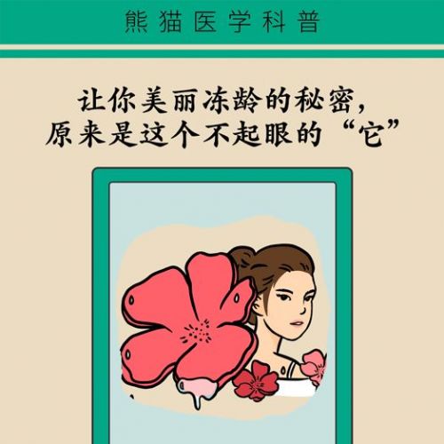 窈窕淑女，君子好逑——雌激素的故事