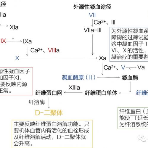 凝血五项不会看？一图帮你搞定