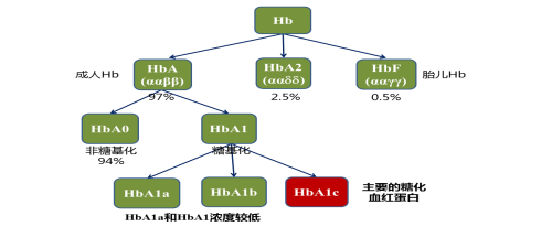 糖化血红蛋白测不出？务必要警惕这个原因