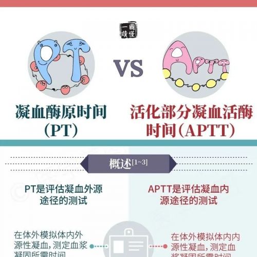 一图读懂丨凝血酶原时间 VS 活化部分凝血活酶时间