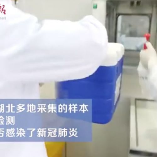 “核酸检测”内部画面被拍下：检验人太难了！