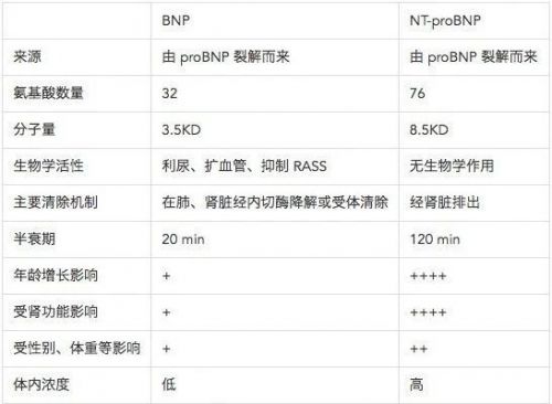 BNP、NT-proBNP分不清？4个问题一篇搞定